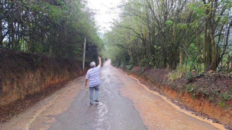 Edgard Sasaki olhando Sansão do Campo PLCL 003/2021 Cercas Vivas